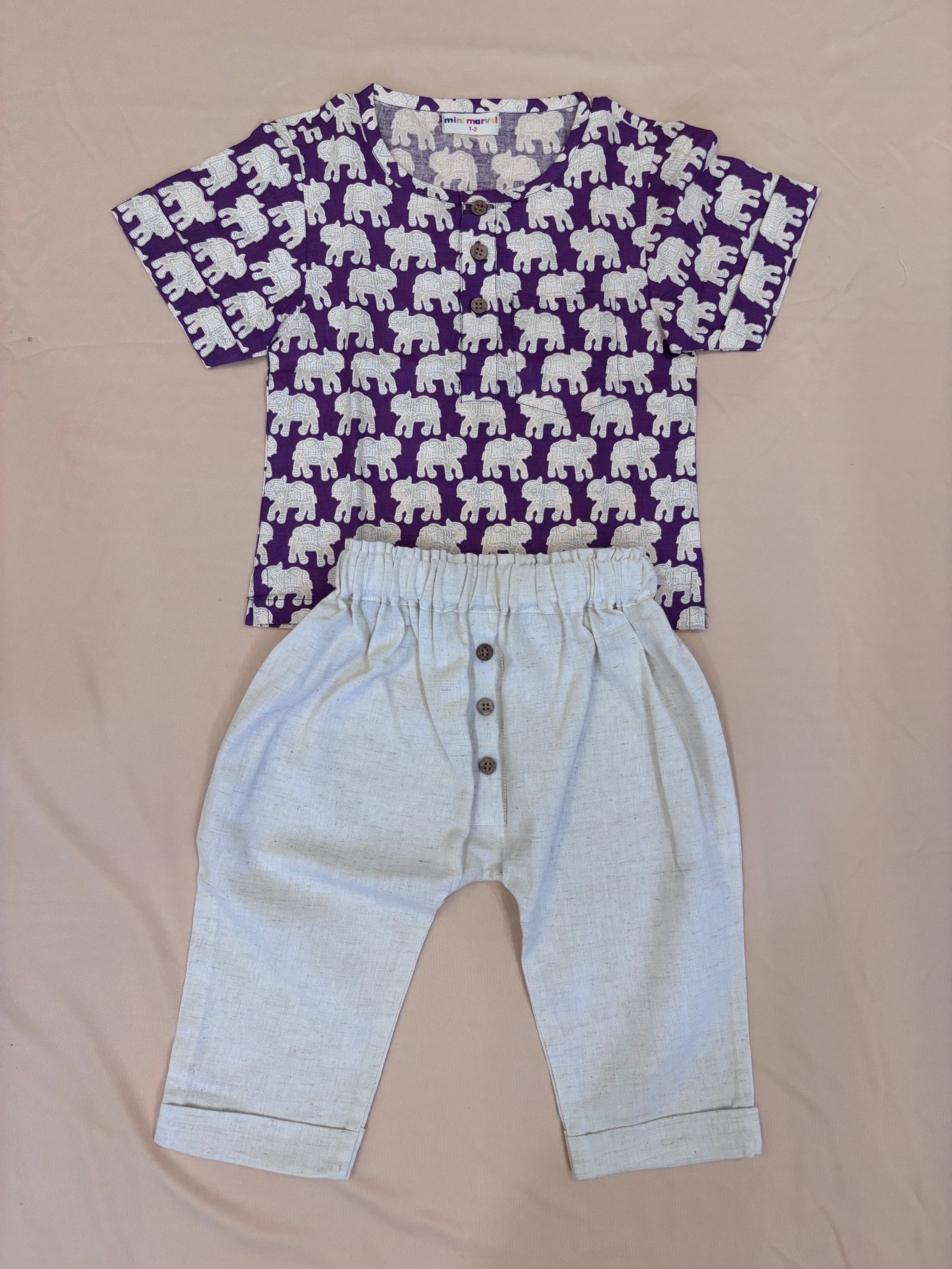 Violet Elephant Luxe Co-ord Set (Printed Top & Cotton Pants)
