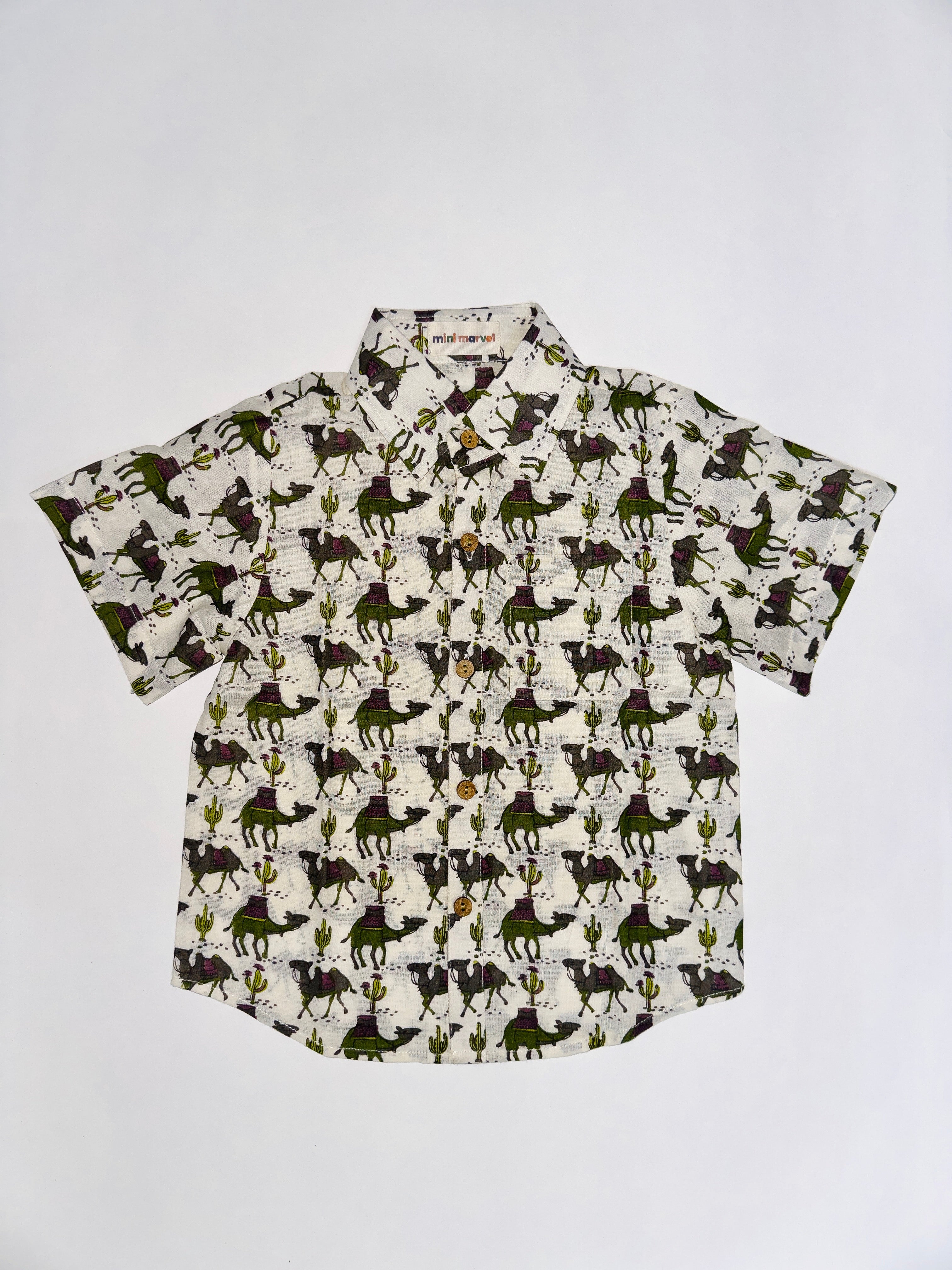 Summer outfit for boys with camel prints