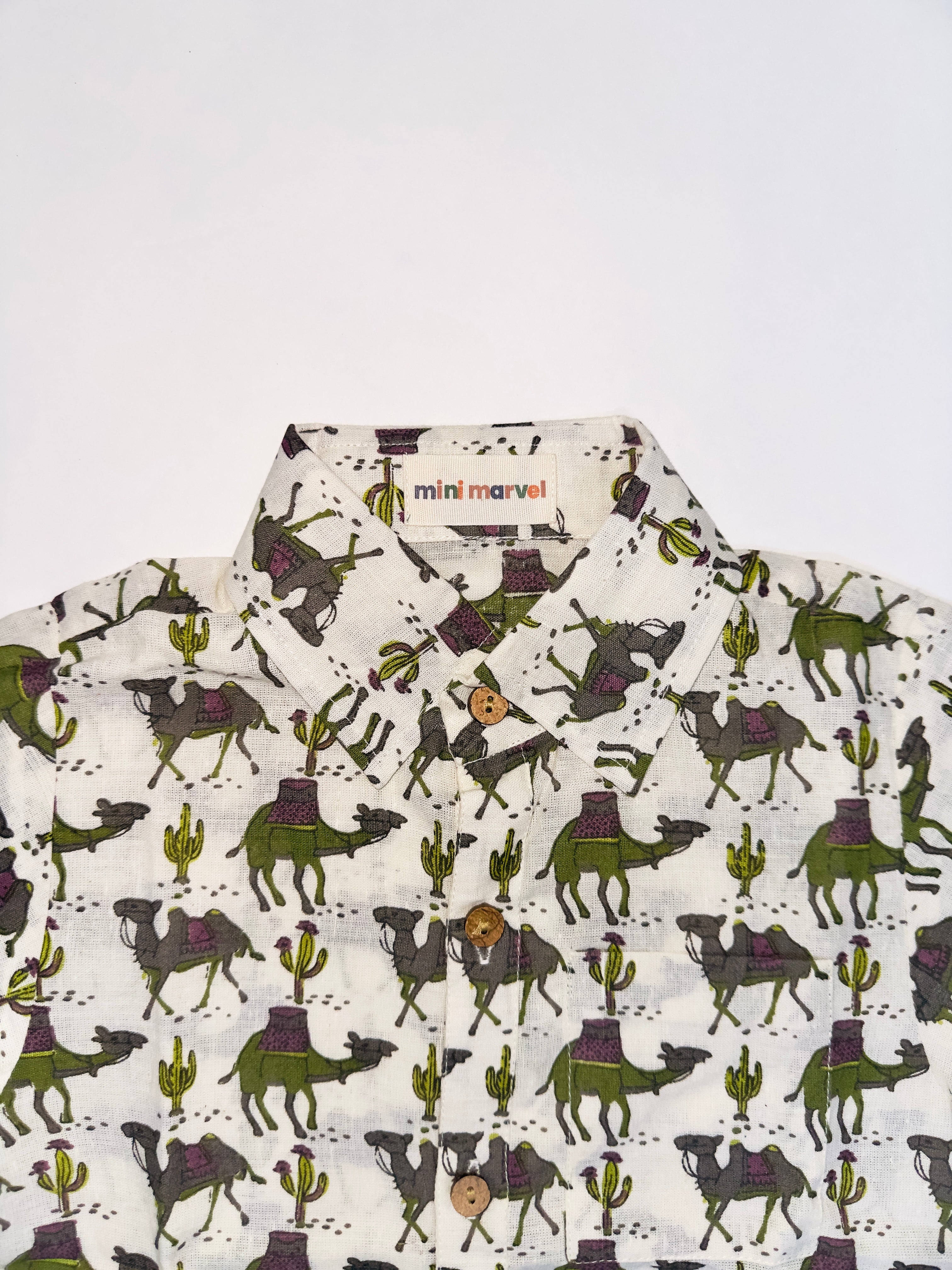 Summer outfit for boys with camel prints