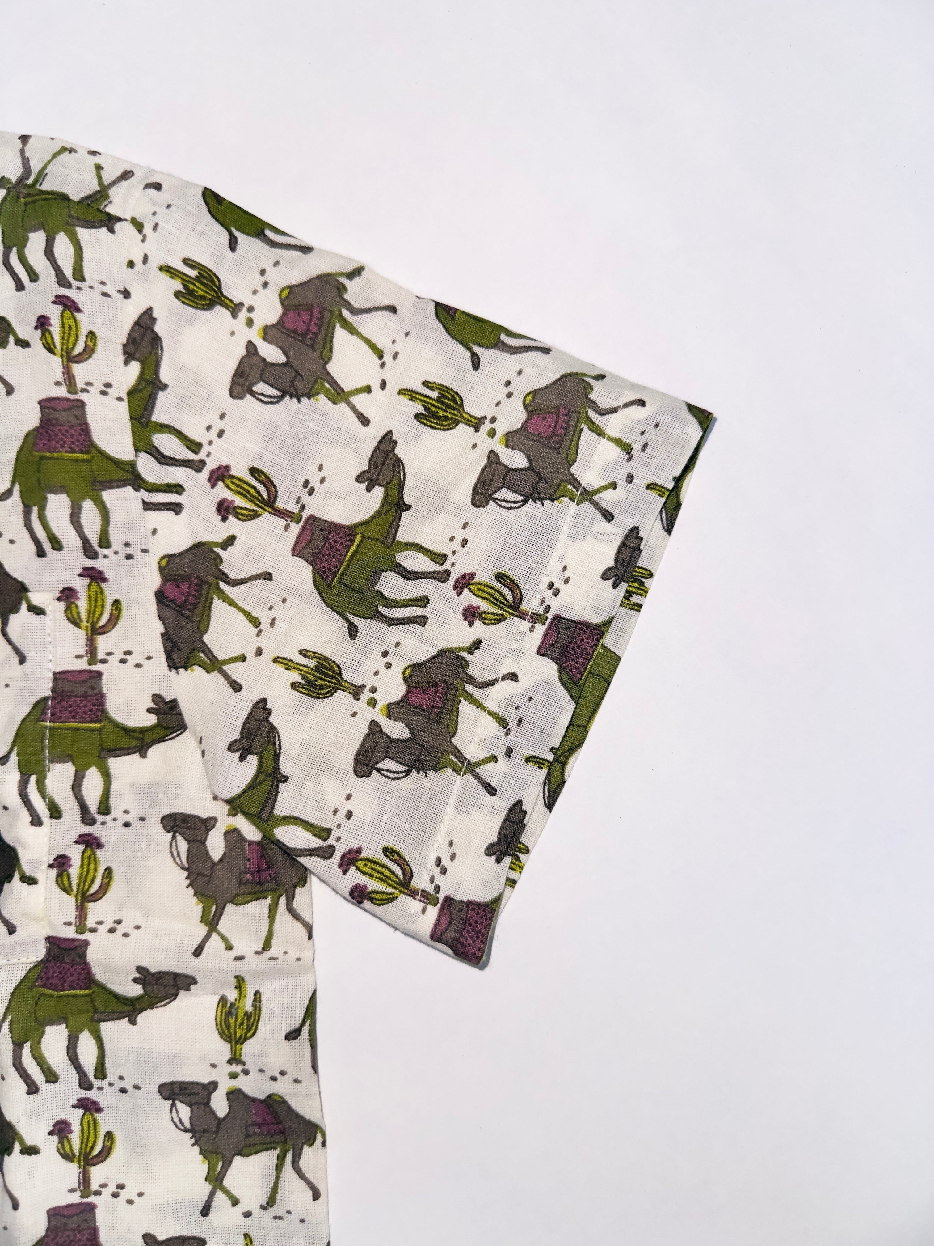 Summer outfit for boys with camel prints