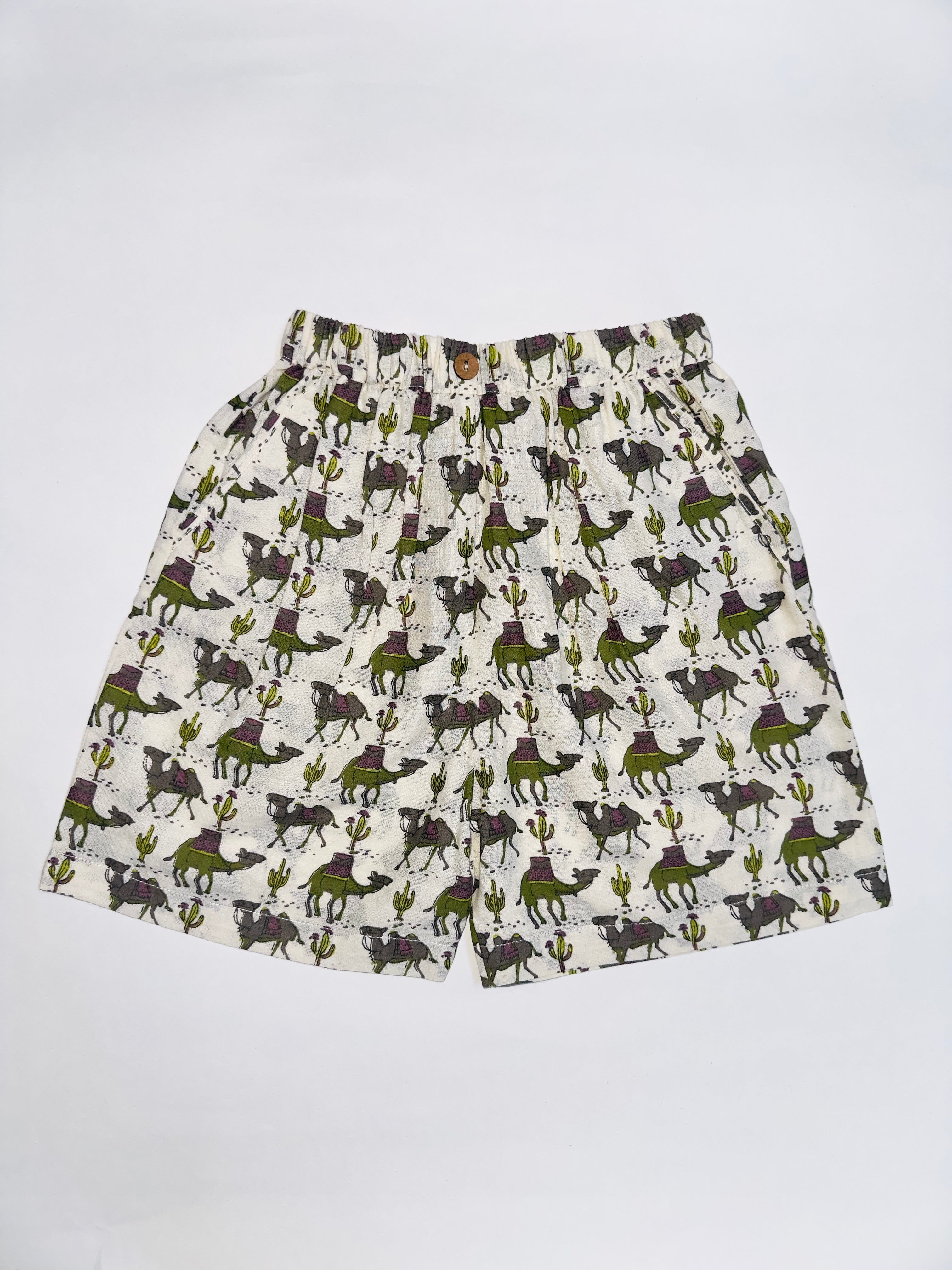 Summer outfit for boys with camel prints