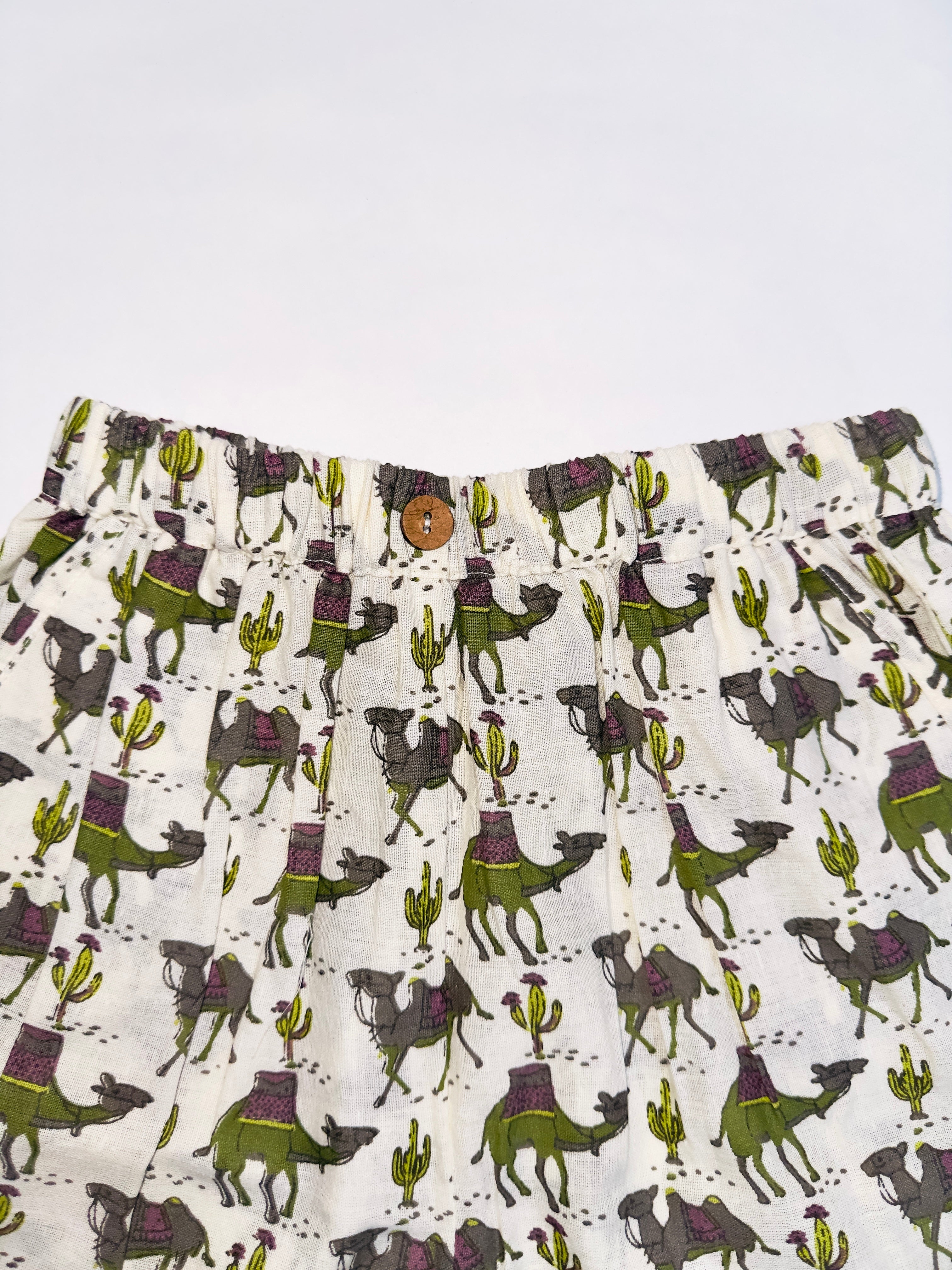 Summer outfit for boys with camel prints