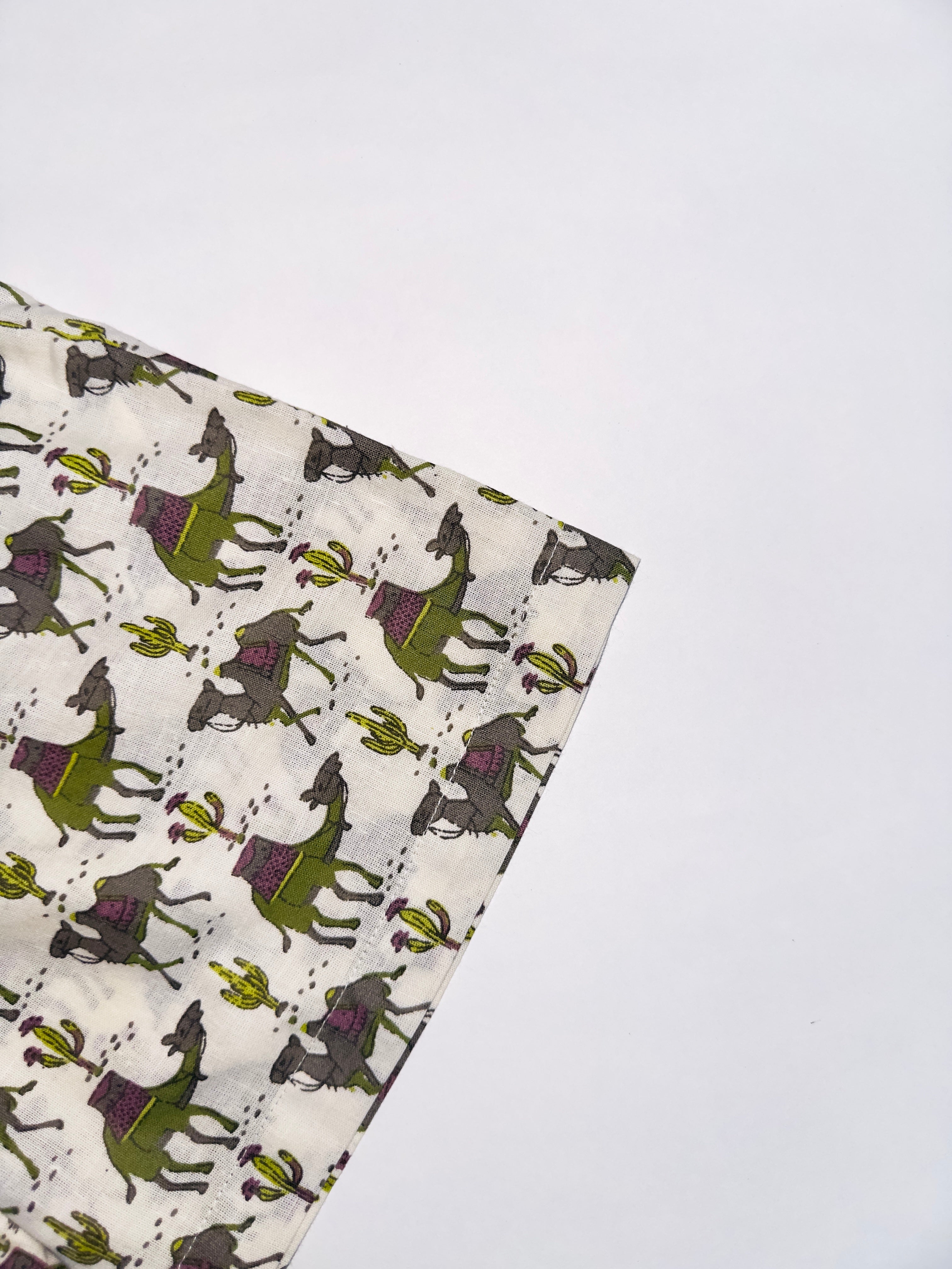 Summer outfit for boys with camel prints