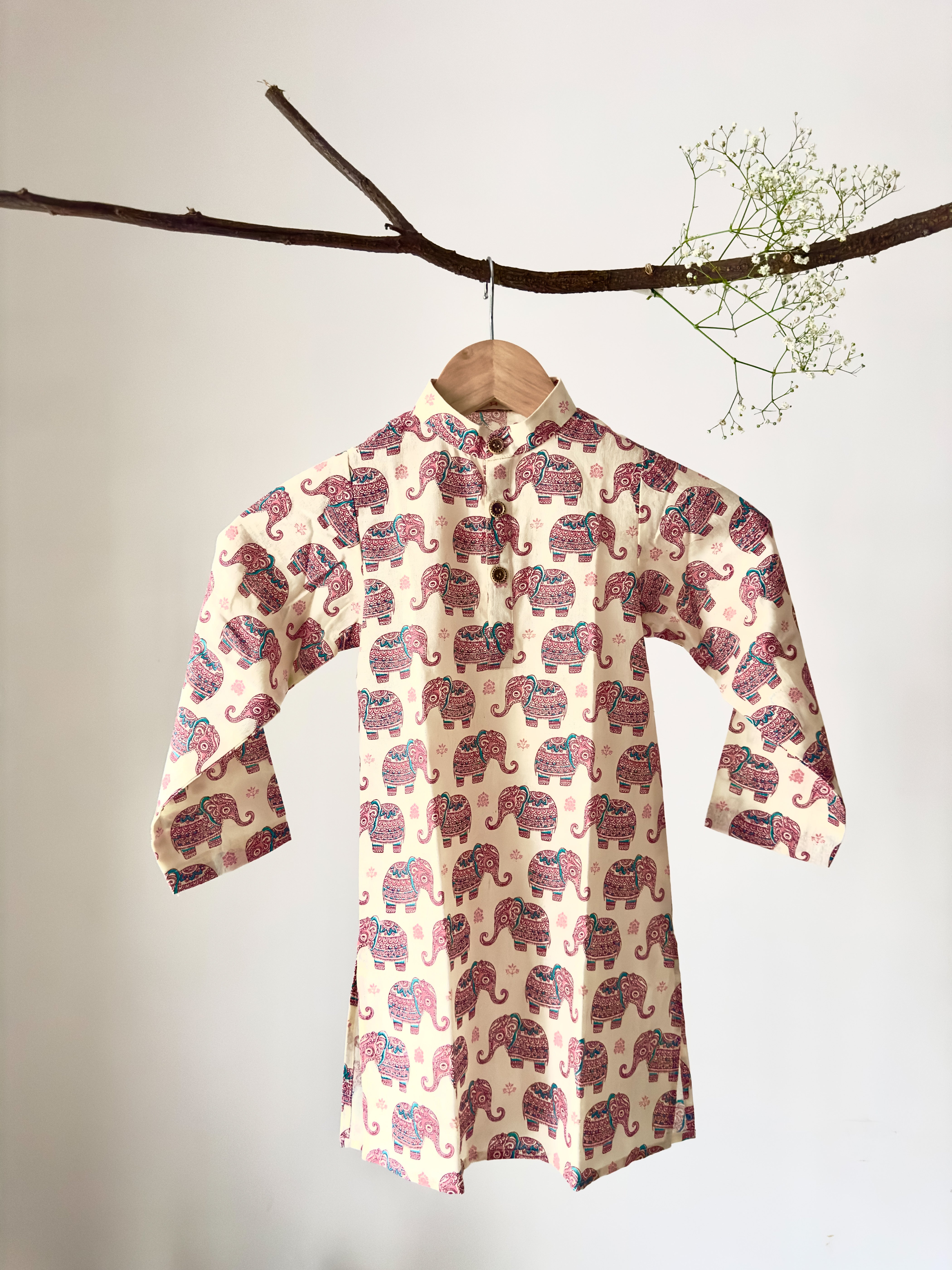 Elephant Print Cotton Kurta